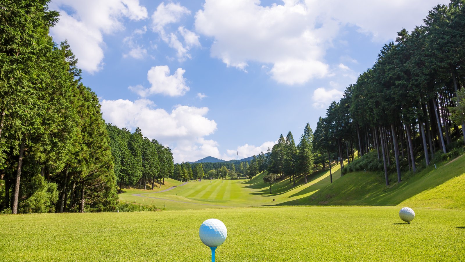 Golf course in North America